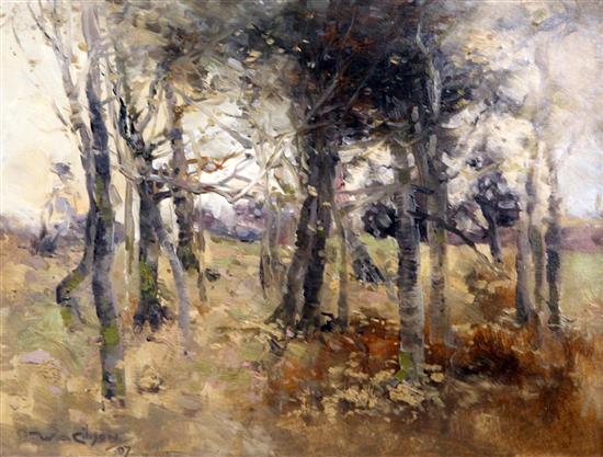 William Alfred Gibson (1866-1931) Study of Birch trees 10.5 x 13.5in.